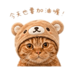 橘橘寶包