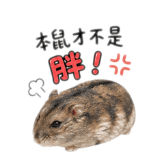 啊饅