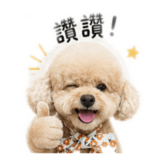 我最愛的阿嘟嘟