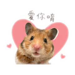 麻糬寶貝專屬