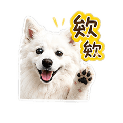 雪寶汪汪4