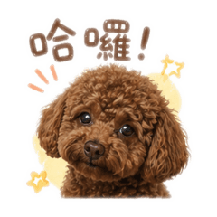 妞妞的人生語錄