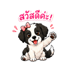 POKPAK_20260428083630
