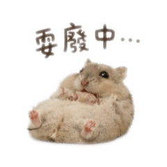 軟綿綿麻吉