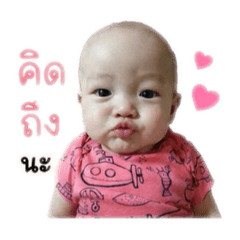 Nomi_20260428084751