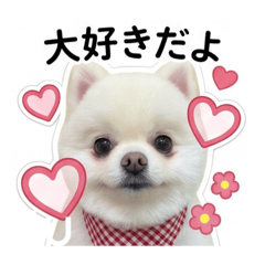 annakamura_20260501035645