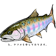 Yuki_20260501035159