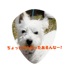 T-OGAWA_20260501043517