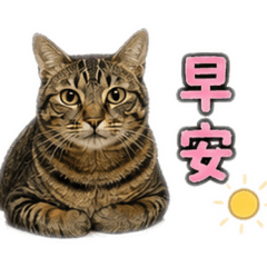 妮妮有禮貌貼圖