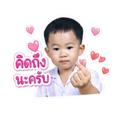 poppy_20260428084913