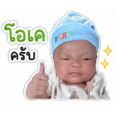 kamo_20260428084845