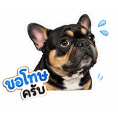 mochiTH_20260429132933