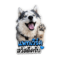 KRAMPHON_20260430122235