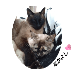 mada and pon_20260501044831