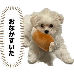 Happy_20260501052711