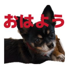 Kimika_20260501044709