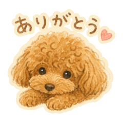 maru_20260501043542