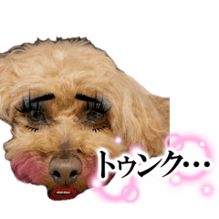 y_20260501063751