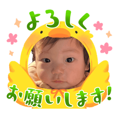 mi_20260501070541