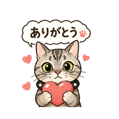 Yashi_20260501065735