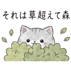 mirai_20260501065342