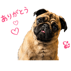 hinano.chan_20260501070122