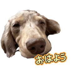 kouta_20260501070608