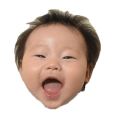 rena_20260501065513