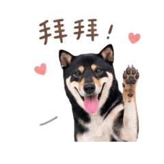 樂樂想跟你說