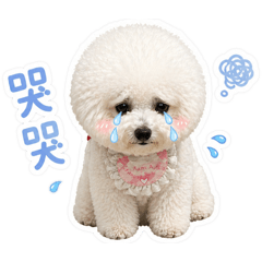 Chubby比比