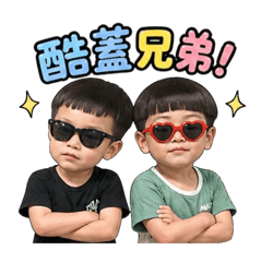 蓋酷兄弟