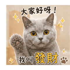 傲嬌的發財