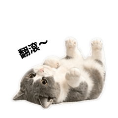 吉布喵喵ㄉ小貼圖
