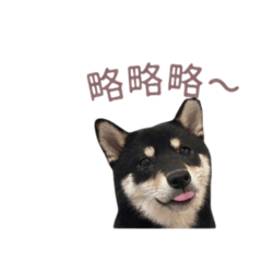 炭寶
