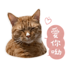 大哥是奶烙