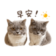 妮妮&妹妹