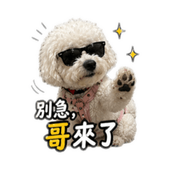 Leo小狗崽