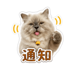 我的自製工作貼圖