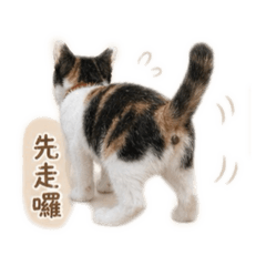 錢錢小店長-生活篇2