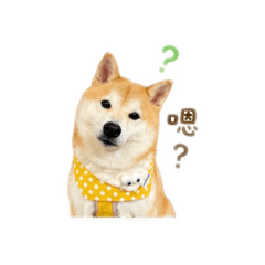 阿呆問號問號