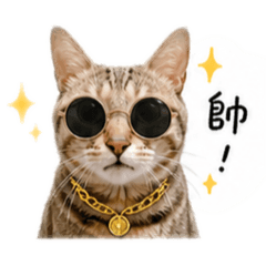 多娜喵喵日常