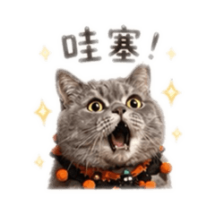 二條先生ㄉ日常用語