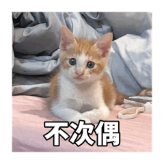 台灣國語版