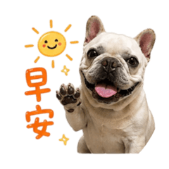 李阿皮