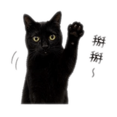 黃誒口