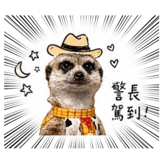 豆漿油條是兩隻狐獴呦～