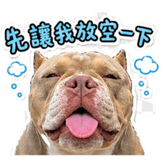 Macan厭世小狗