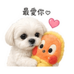 琦琦琦琦