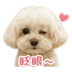 店長小妮