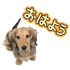 M_20260501075344